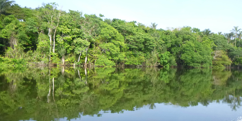 Uatuma River